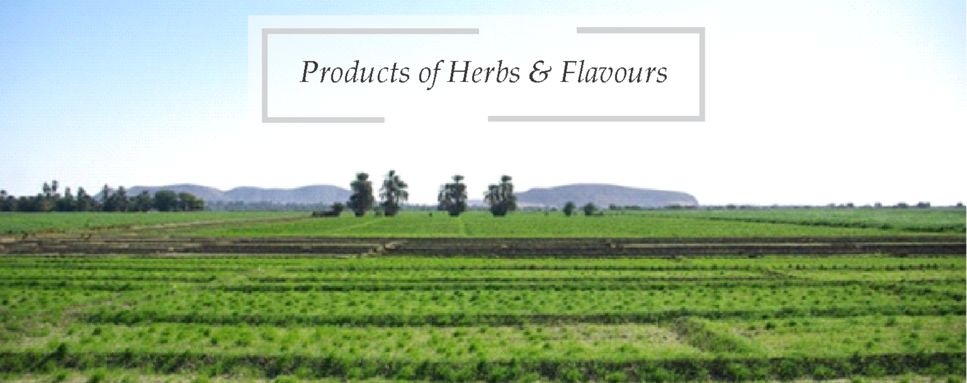 Products of Herbs & Flavours