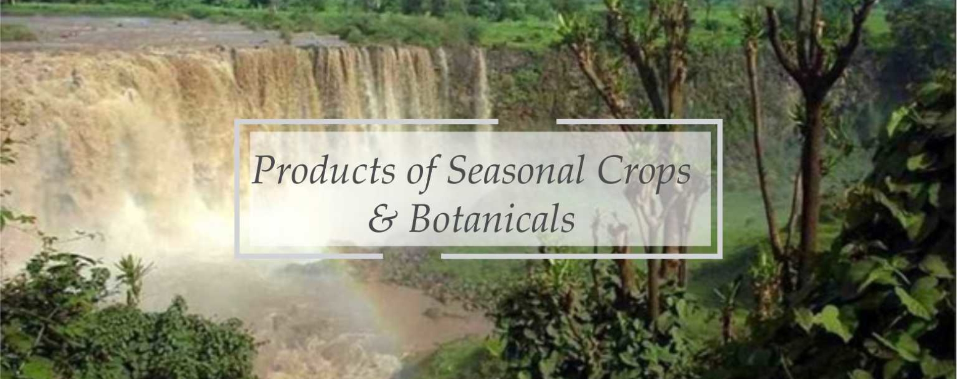 Products of seasonal crops botanicals
