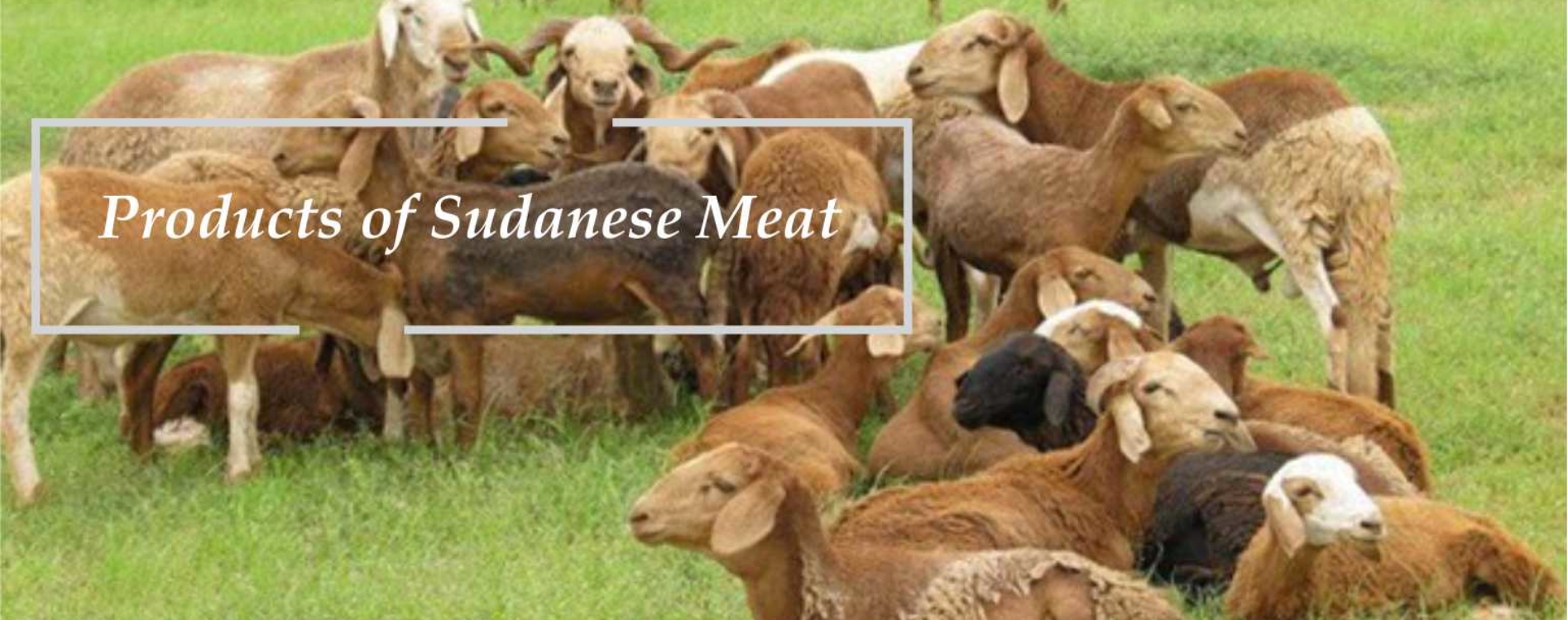 Products of sud meat