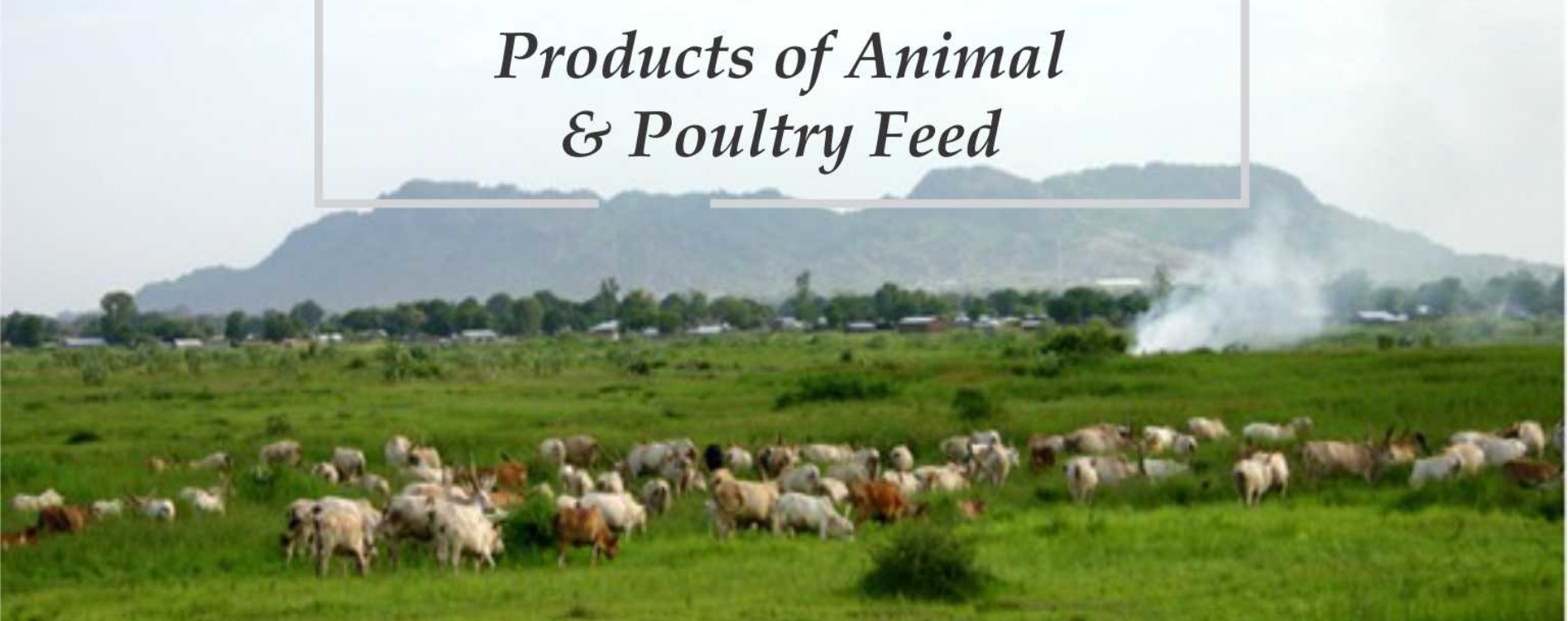 Products poultry feed